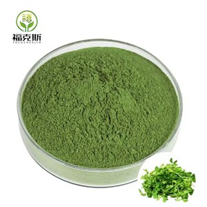 Extracto de Hoja de <span class=keywords><strong>Alfalfa</strong></span> en Polvo de Alta Calidad, Grado Alimenticio 10:1 20:1, para Suplementos Nutricionales, Suministro de Fábrica - Product Image 1