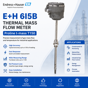 Endress+Hauser 6I5B Insertion Type Thermal Mass Flow Meter for Gas Measurement - Product Image 1