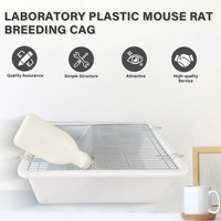 Cages d'élevage en plastique pour souris de laboratoire, rats et rongeurs avec système de rayonnages en acier inoxydable, également adaptées aux hamsters
