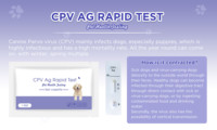 Cassette de test rapide d'antigène CPV pour le parvovirus canin – Kits de diagnostic vétérinaire rapide pour chiens