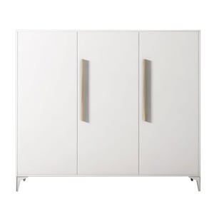 Armoire à chaussures en acier Iyanen avec serrure, organisateur de rangement pour entrée et couloir - Product Image 5