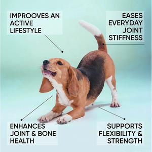 قطرات جلوكوزامين 10 في 1 من شركة تصنيع المعدات الأصلية لحماية الحيوانات الأليفة المعقدة من فيتامين الجلوكوزامين سريع الامتصاص المناعي للكلاب لحماية البراغيث من المفاصل الصحية المعوية - Product Image 4