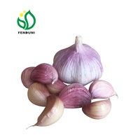 Ail pour transporter au Chili/Ail chinois Boîte de 10 kg au Chili