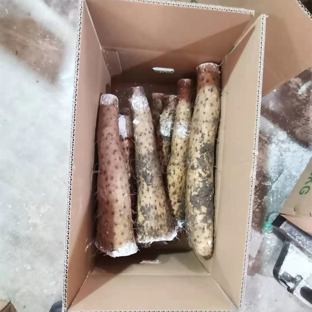 热销高档高档新鲜山药出售,象脚山药高档包装,批发价