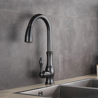 Robinet de cuisine noir personnalisable avec douchette extractible, mitigeur monocommande pour distributeurs et projets