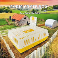Caisse de transport pour volailles (canards, pigeons, poulets) – Boîte de manutention en plastique pour usage agricole – Équipement de transport pour poussins