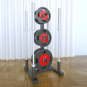 Porta Pesi <span class=keywords><strong>in</strong></span> Ghisa a Foro Largo per <span class=keywords><strong>Palestra</strong></span> Domestica Unisex e Attrezzature Fitness per Studi di Allenamento Personale - Product Image 2