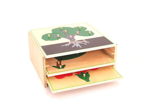 Matériel Montessori en bois, équipement pédagogique, armoire de puzzle botanique Montessori, jouets préscolaires pour enfants, Montessori Bois - Product Image 4