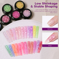 Nouvelle collection 2026 de gels de construction solides à paillettes florales, sans HEMA, sans chaleur, personnalisables pour studio, faible MOQ