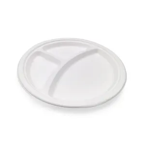 Customization 9 Inch Dishes Paper Plates Biodegradable Plates Disposable Sugarcane Bagasse Plates