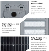 Lampu Jalan Tenaga Surya 300W Tahan Cuaca untuk Sistem Penerangan Dekorasi Jalur Resor Kamboja, Kontrol Fotosel dari Senja hingga Fajar