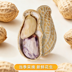 250g zak met veelkleurige rauwe gedroogde pinda's - Product Image 2