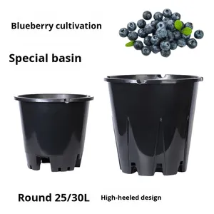 Maceta de Plástico Minimalista P397 para Arándanos, Maceta Grande Transpirable con Control de Raíces y Reforzada para Plantas Verdes - Product Image 2