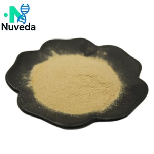 Tự nhiên Radix scrophulariae chiết xuất figwort gốc 10:1 Radix scrophulariae <span class=keywords><strong>scrophularia</strong></span> ningpoensis chiết xuất bột - Product Image 3