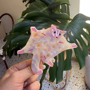 2024 populaire mignon Animal brun Hydrochoerus femmes dessin animé cellulose acétate écureuil cheveux griffe Clips - Product Image 5