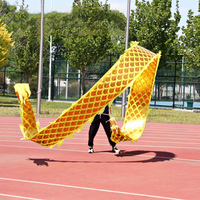 Danse du dragon sportive personnalisée, 6m, 8m, 10m, 12m, danse du dragon carrée