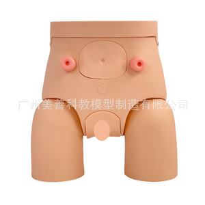 Molde para cateterización urinaria, cateterización urinaria avanzada para genitales internos y externos masculinos y femeninos, intercambiables. - Product Image 3