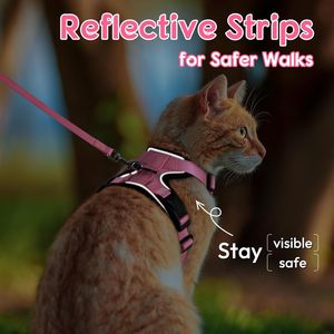 Dooradar Ensemble harnais et laisse pour chat, harnais de gilet de chaton réglable et résistant à l'évasion, pour la marche, contrôle facile, doux et respirant - Product Image 3