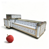 Fabrieksdirect PLC-gestuurde machine voor het snijden en ontpitten van abrikozen voor fruitverwerking