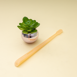 Brosse à dents moderne pour adulte, à poils personnalisés semi-transparents, couleur unie, New Life Simple, poils doux, avec logo privé - Product Image 4