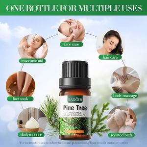 Rifornimento della fabbrica di oli essenziali vegetali naturali a prezzi bassi 10ml di olio di Sakura olio di zenzero per aromaterapia cura della pelle massaggio Skincare - Product Image 6