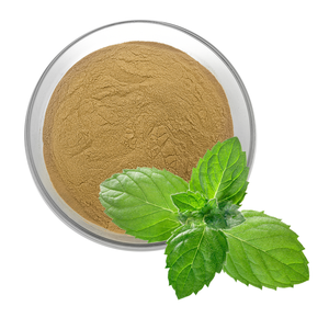 Fabrika kaynağı doğal nane yaprağı ekstresi nane özü nane özü - Product Image 1