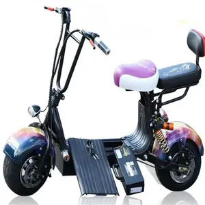 Citycoco ciclomotore elettrico Scooter Fat Tire 800W/1500W/2000W 2 posti moto streetbike ad alta velocità