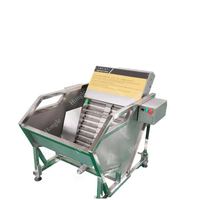 Fabricant automatique machine de pasteurisation et de classement des œufs de poule à bas prix