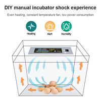 Incubateur d'œufs entièrement automatique, mini contrôleur de température à double puissance, meilleure vente HTMC-7