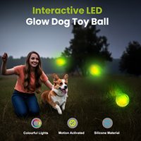 TIZE Nouveauté - Jouet interactif pour animaux de compagnie en silicone de qualité alimentaire rechargeable, lumineux dans le noir, étanche IPx7, balle pour chien avec lumière LED RGB