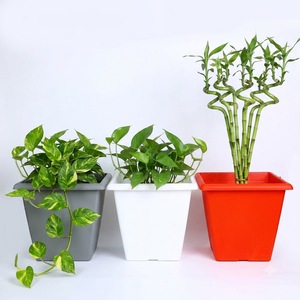 Vente en gros de pots de plantes carrés en plastique de 3 couleurs, design conique, surface lisse, gris, blanc, orange, pour jardin, balcon, taille 28 cm - Product Image 1