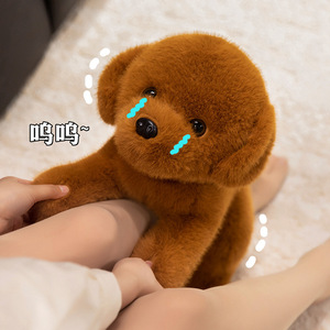 Peluche chien Golden Retriever de dessin animé transfrontalier, jouet apaisant unisexe en polyester - Product Image 3