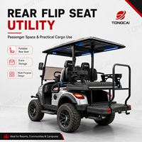 TongCai Puissant Véhicule Tout-Terrain Relevé 72V à 4 Places avec Batterie au Lithium pour la Chasse, le Golf, l'Agriculture et la Forêt