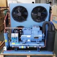 Nouvelle unité de condensation basse température avec compresseur semi-hermétique à piston et moteur, écologique, pour entrepôt de produits surgelés