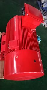 मानक श्रृंखला 110-355kw इलेक्ट्रिक मोटर्स - Product Image 5