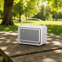 Système audio professionnel, haut-parleur 30W, haut-parleur sans fil Bluetooth, son clair avec micro, pour la maison et l'extérieur