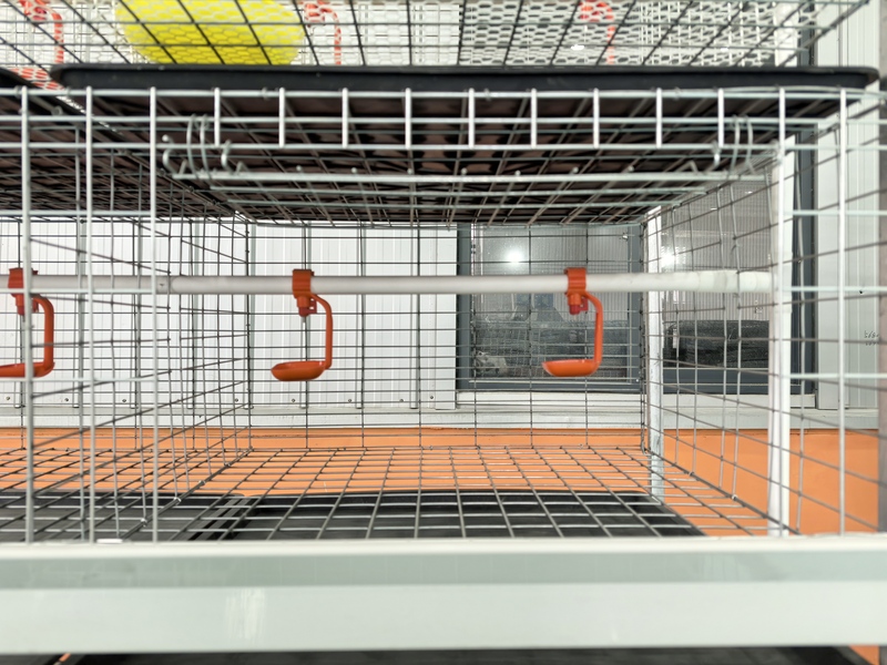H Shape Broiler Chicken Cage with