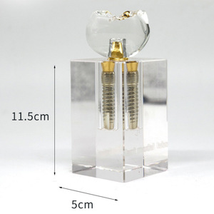 Dental Implant <b>Model</b> 2x Detachable Teaching Anatomical <b>Medical</b> Silicone For Dental Education - Product Image 3