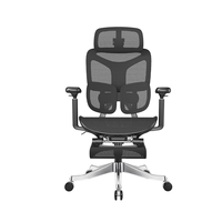 Chaise ergonomique à dossier dynamique en maille avec appuie-tête 4D, accoudoirs 5D en PU, repose-pieds réglable, pivotante - Idéale pour le bureau à domicile