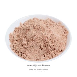 Approvisionnement en usine en vrac Poudre de prune conservée aigre-douce de haute qualité pour la poudre <span class=keywords><strong>Li</strong></span> Hing Mui alimentaire - Product Image 3