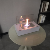 Installation facile portative en verre libre de style européen de foyer de table d'éthanol concret durable d'acier inoxydable