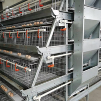 Cage à poules automatique de type A à 3/4/5 niveaux, cage à poules galvanisée pour ferme avicole, capacité de 5000 oiseaux