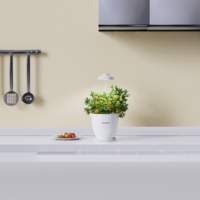 Nouveau planteur de capteur contrôlé par application de pot de fleurs en plastique intelligent populaire pour une utilisation intérieure pour l'affichage de bureau de cuisine pour les mariages
