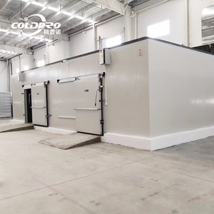 Siêu Nhiệt Độ Thấp Lạnh Lưu Trữ Đi Bộ Trong Tủ Đông-40 ° C Công Nghiệp Tủ Đông Cho Thịt Cá Rau Hậu Cần Năng Lượng Hiệu Quả - Product Image 5