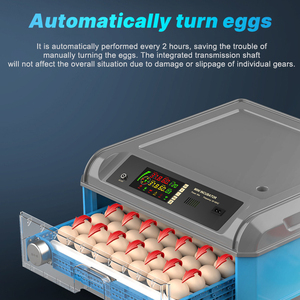 Автоматический инкубатор для куриных яиц с выдвижными ящиками с высокой скоростью вылупления для небольших ферм или домашнего использования - Product Image 4