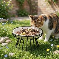 Bol pour chat en céramique de style nordique, surélevé, anti-renversement, anti-déversement, plat et large, avec support métallique, pour chats à mow-ou court