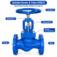 Vanne à soupape à bride en acier inoxydable avec revêtement époxy bleu résistant à la corrosion GGG50 PN16 DN50 pour systèmes de canalisations d'eau d'irrigation agricole