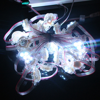 Source de lumière pour décoration publicitaire, 5050 pièces, pixels Led RGB 12V, 30mm de diamètre