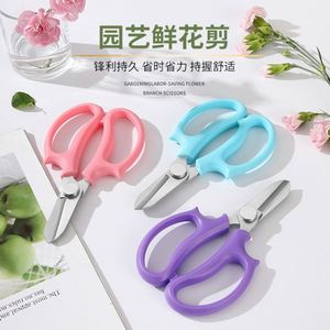Ciseaux de jardinage en acier inoxydable de haute qualité, ciseaux de fleuriste colorés, ciseaux floraux, outils de taille de fleurs pour le jardinage - Product Image 3