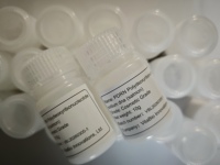 Fournisseur de PDRN de qualité supérieure, PDRN ADN de saumon, poudre pure à 100 % pour usage cosmétique, PN Polydesoxyribonucléotide 99 %